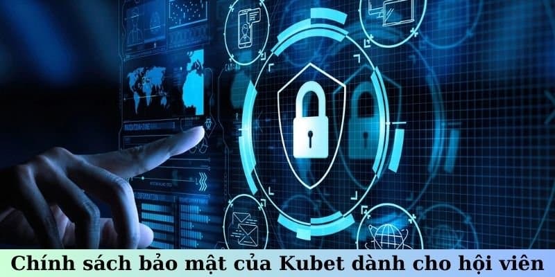 Nghĩa vụ quan trọng của nhà cái và thành viên trong chính sách bảo mật