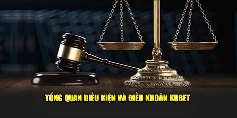 Quy định điều khoản điều kiện khi đăng ký