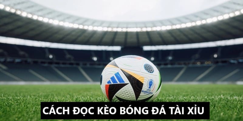 Hiểu rõ hơn về cách đọc cụ thể kèo bóng đá tài xỉu