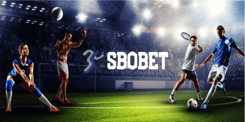 Mẹo tham gia sảnh cược SBOBET cho thành viên mới