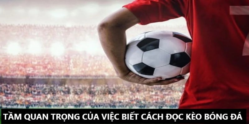 Tầm quan trọng của vấn đề hiểu cách đọc kèo bóng đá